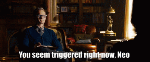 The Analyst leaning forward, calm and professional. "You seem triggered right now, Neo."