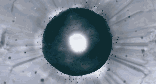 refract Bagel