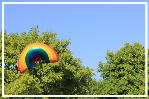 rainbow kite hovers above trees