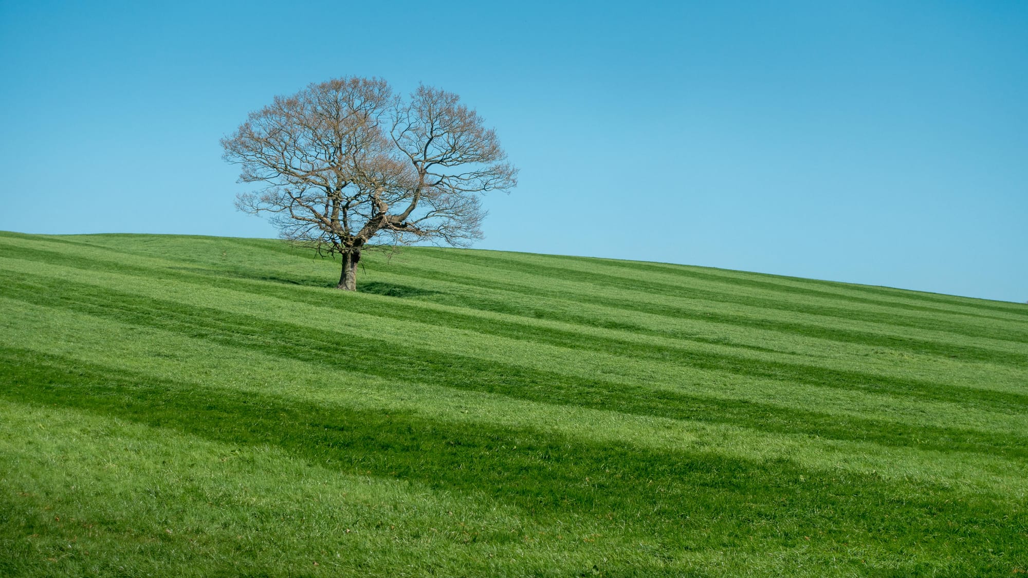 On Faith and Values: Snap Out of It!