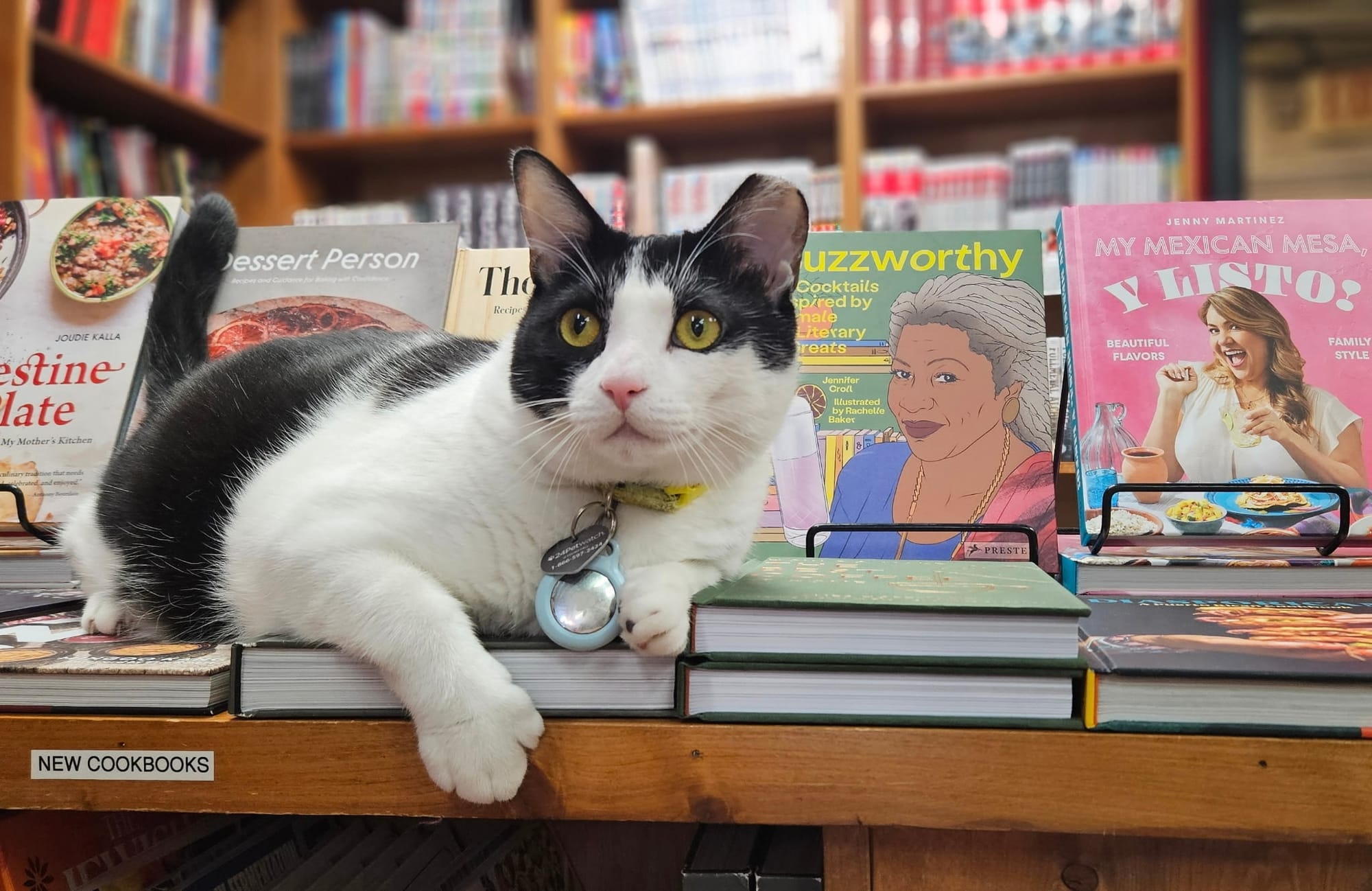 'It's been crazy': Map of Richmond's shop cats a smash hit as initial printing goes fast