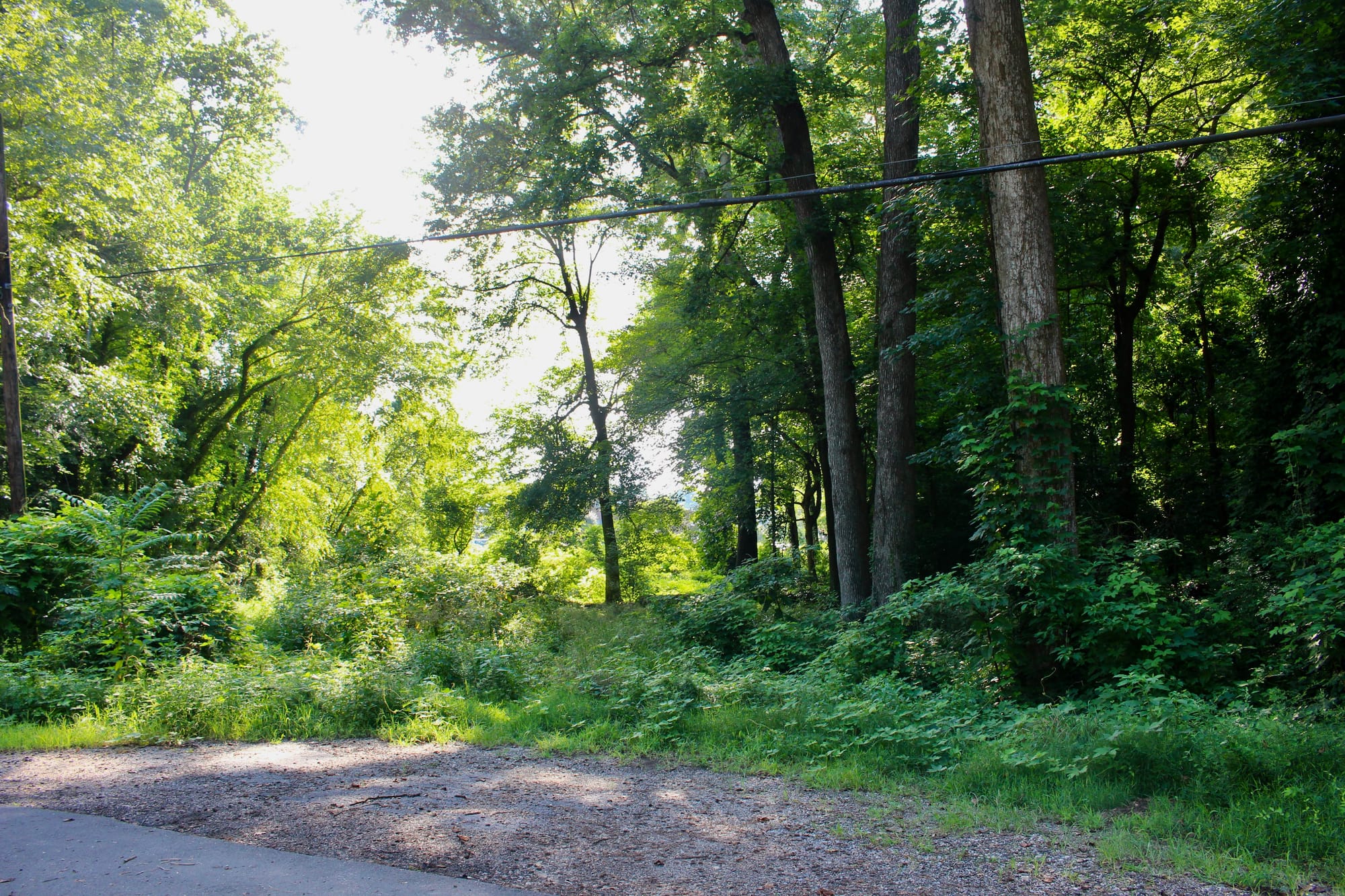 Affordable housing performance grant: 700 West 44th Apartments