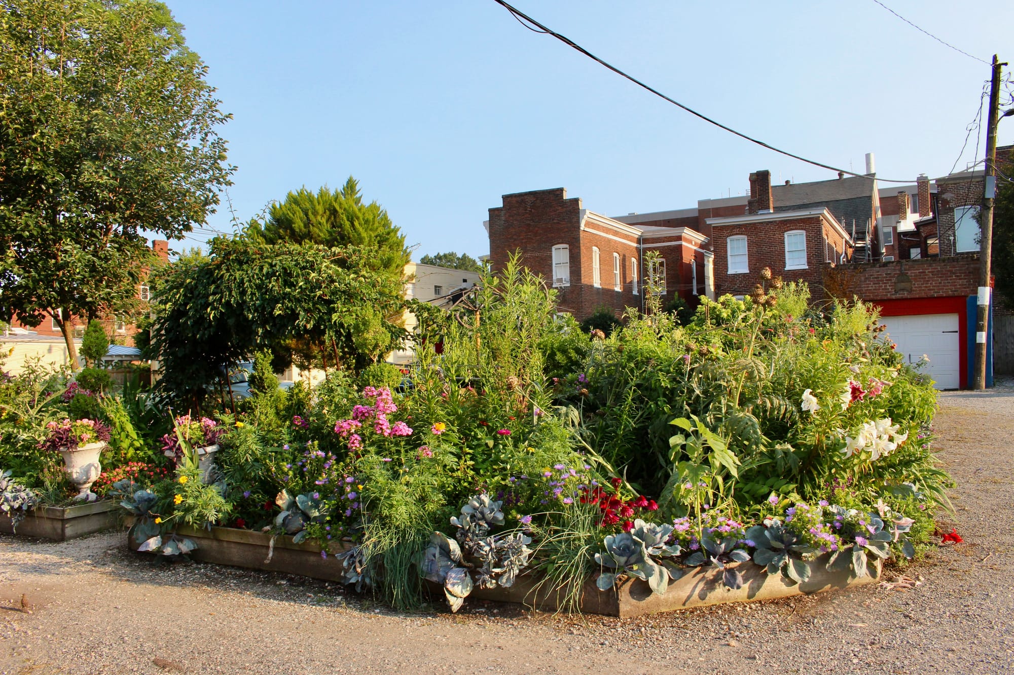 In the Fan, plans for a carriage house collide with a longtime alley garden