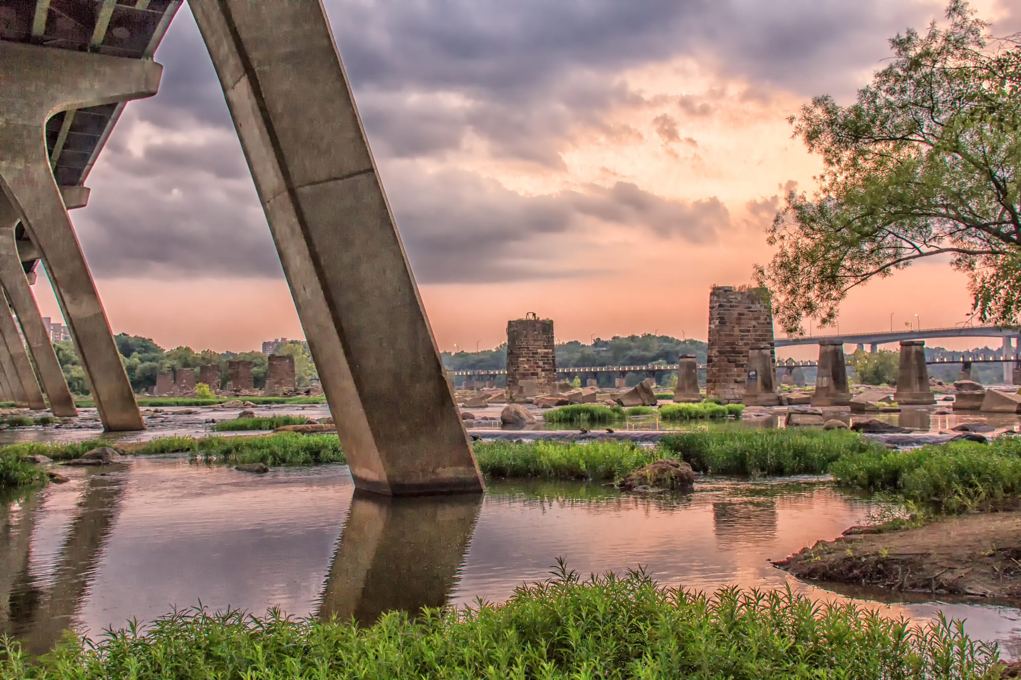 Members: Join us for a live online Q&A Thursday at noon