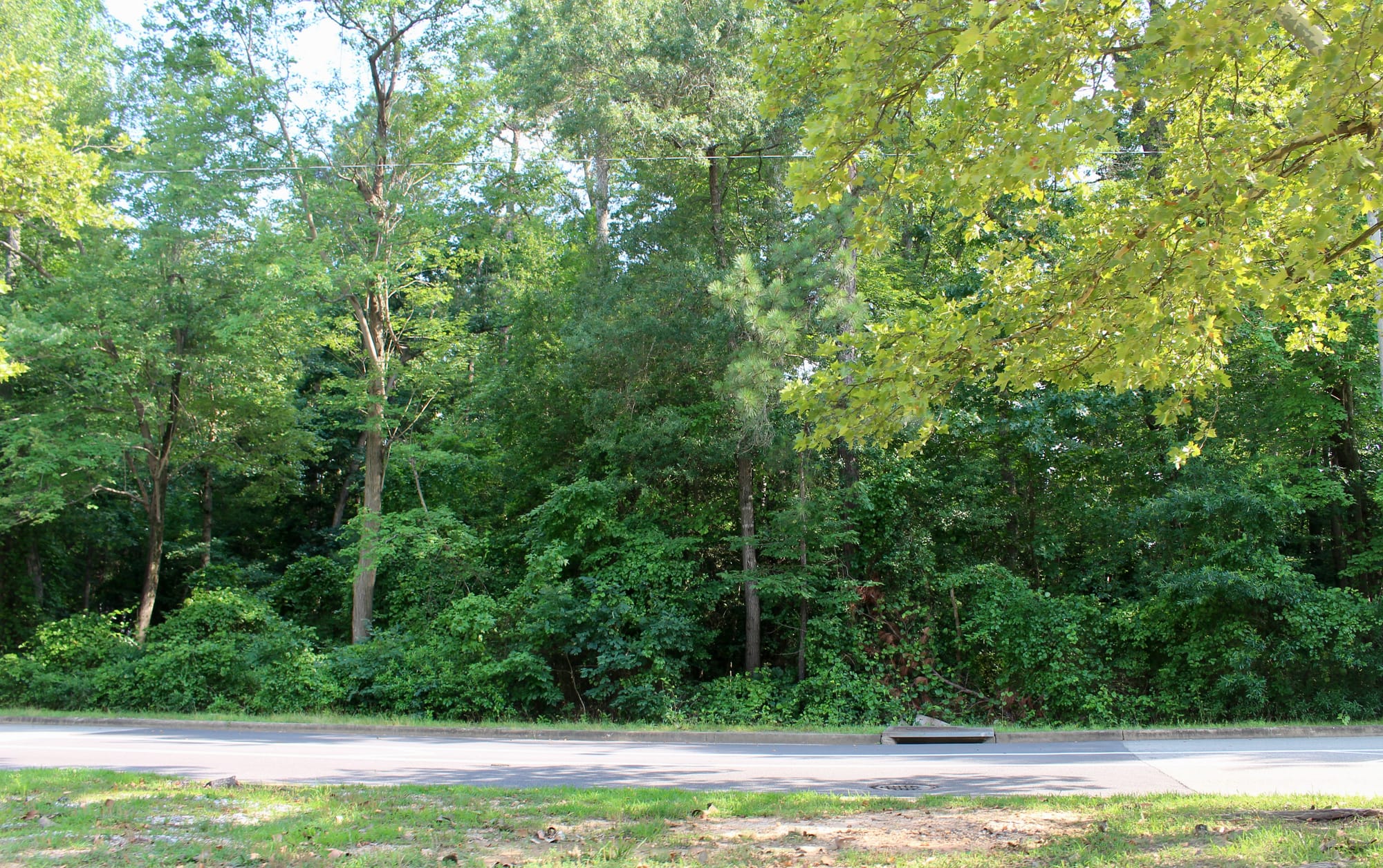 Affordable housing performance grant: 6951 Carnation