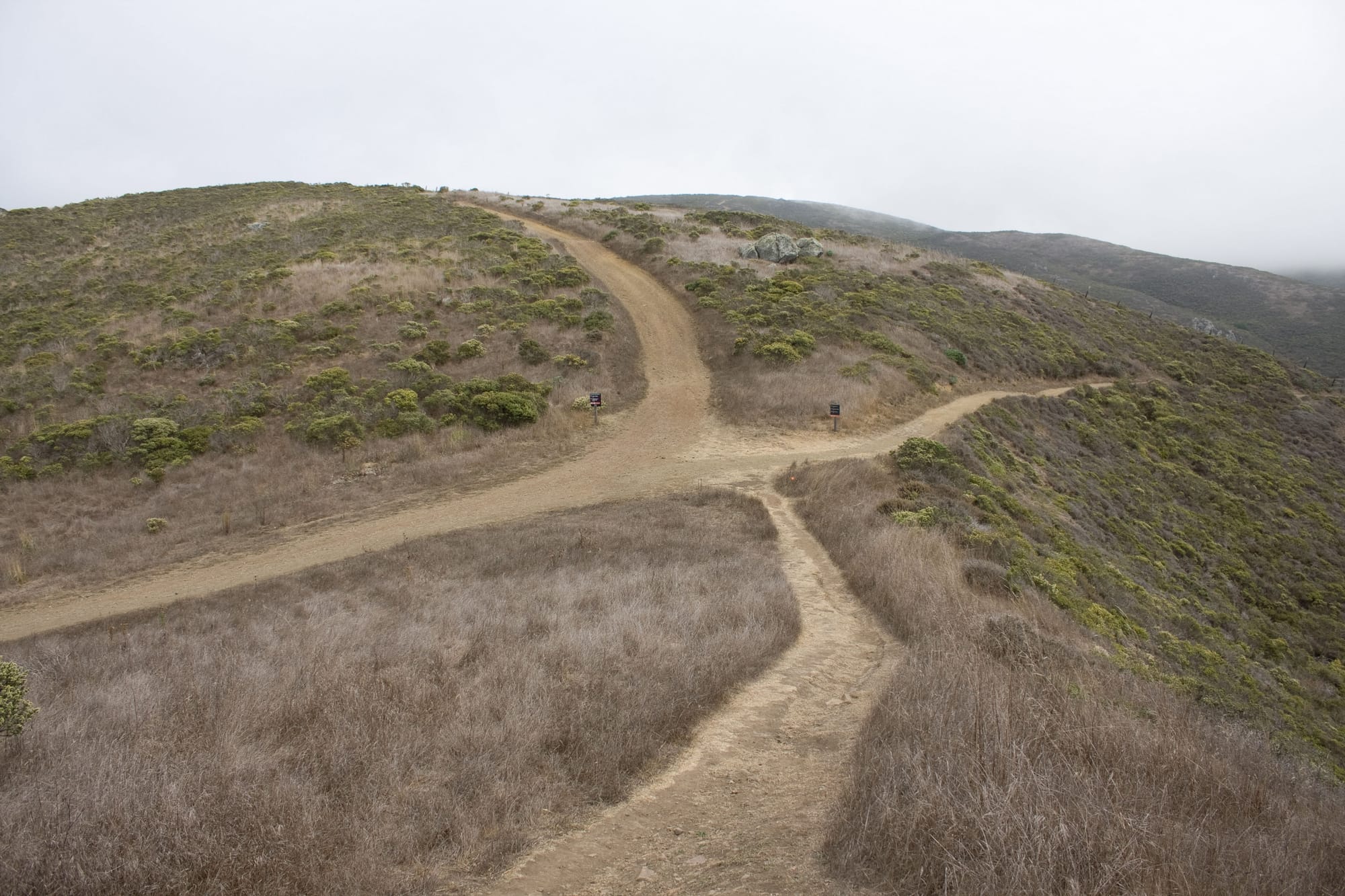 On Faith and Values: Beating our own path