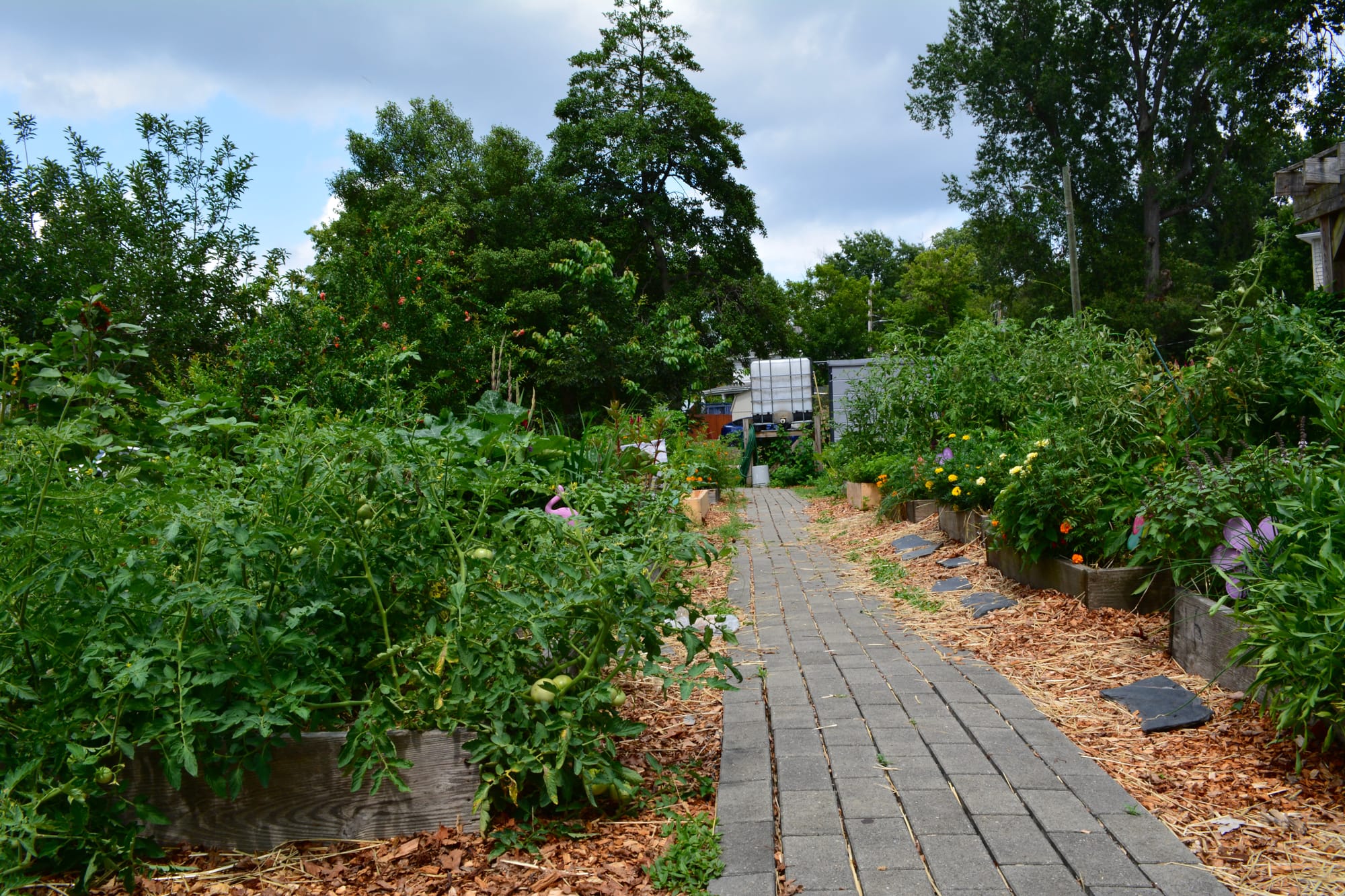 Richmond's community gardens are a hidden gem