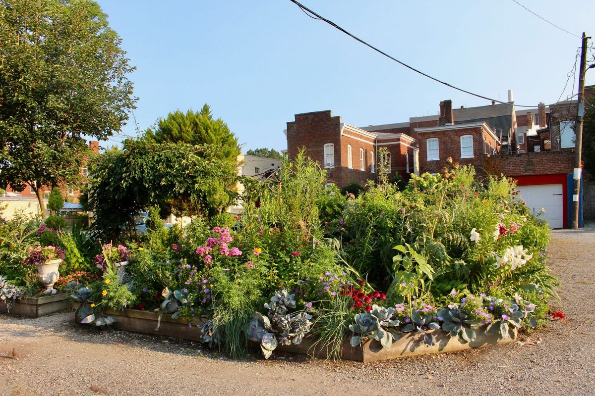 In the Fan, plans for a carriage house collide with a longtime alley garden