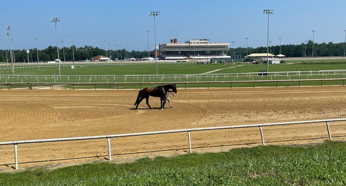 Colonial Downs opens longest racing season since reopening