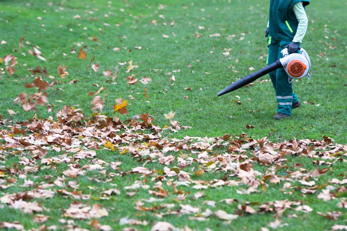 Should Richmond ban gas-powered leaf blowers?