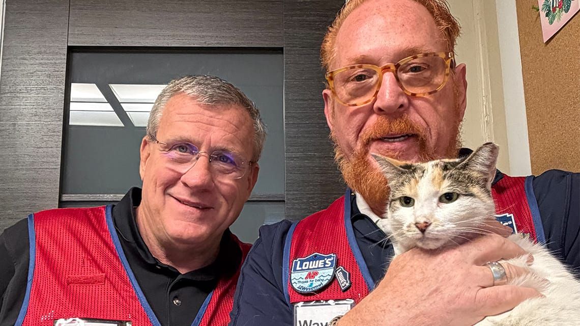 UPDATE: Francine the cat has been found, will return to Richmond Lowe's