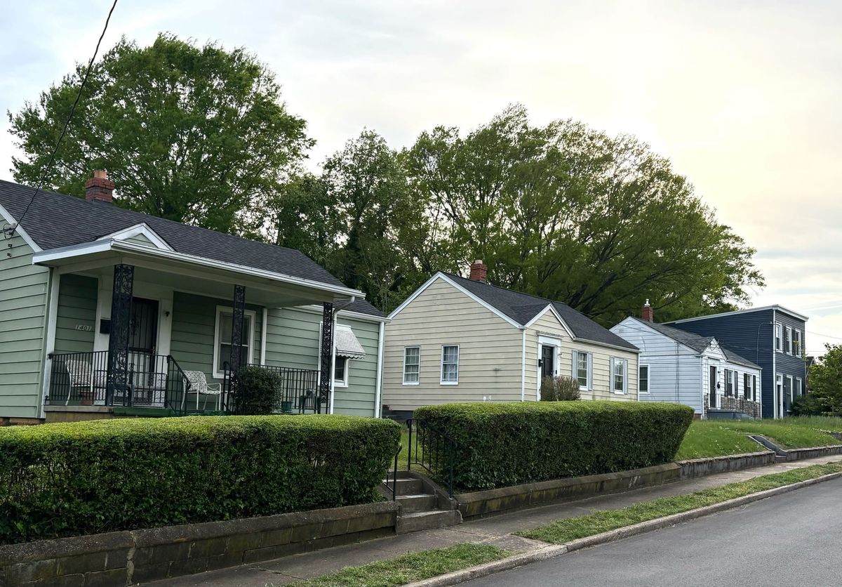 Richmond’s rezoning allows more development. Should it also require more trees?