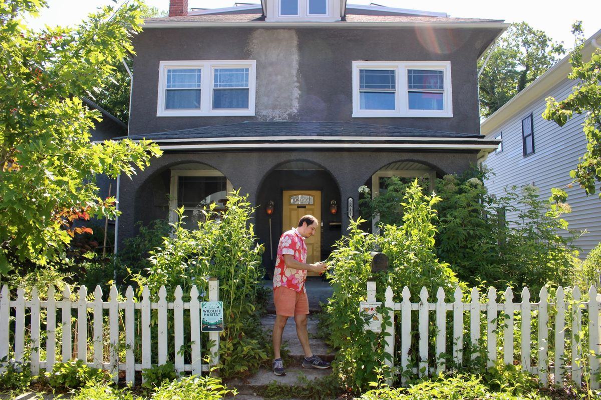 For decades, Richmond mandated tidy lawns. A new proposal would give native plants more leeway.