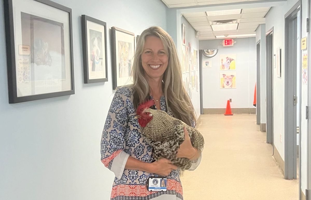 The Richmonder 25: Christie Chipps Peters leads Richmond Animal Care and Control with optimism