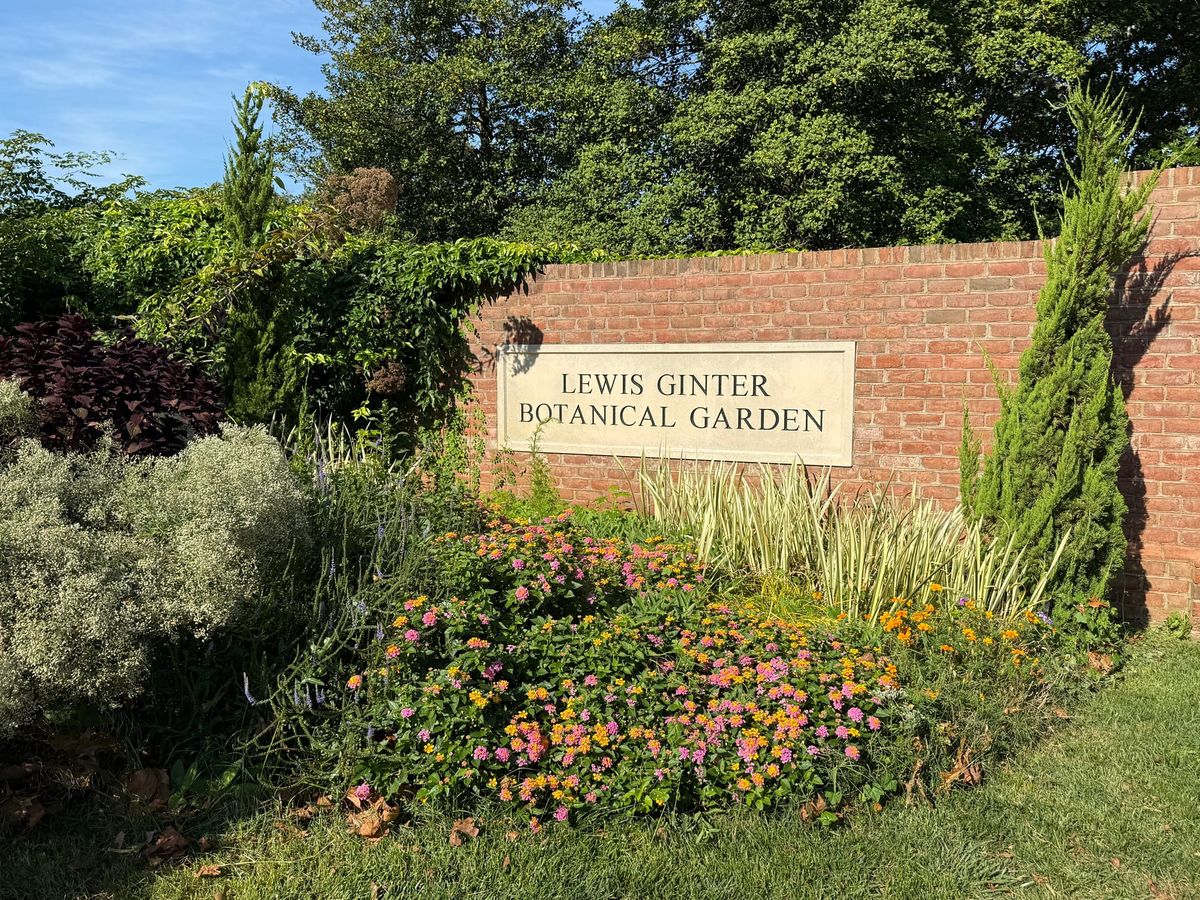 Judge restricts picketing at Lewis Ginter, but stops short of banning it