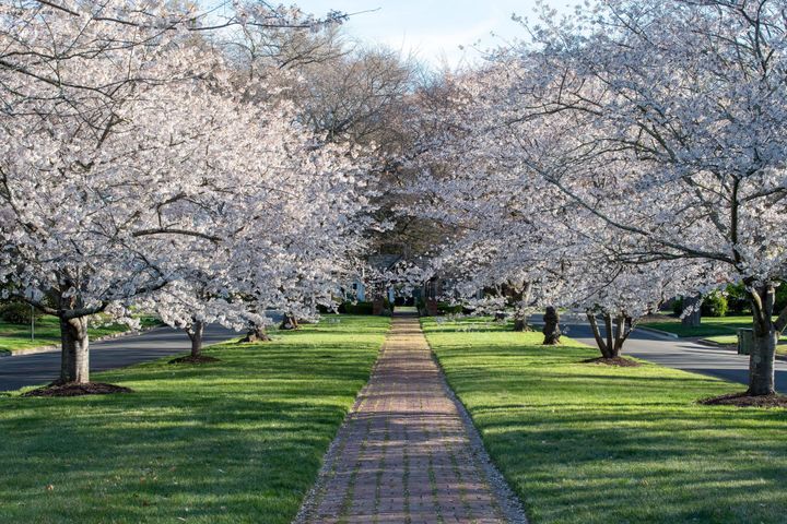 Spring swings continue as we move between frost and warmth