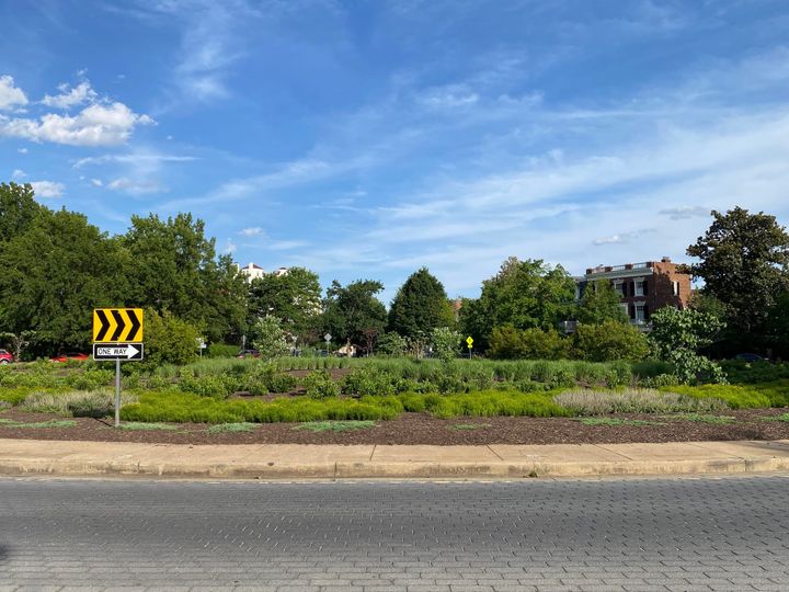 History and Culture Commission not currently taking on Monument Avenue work