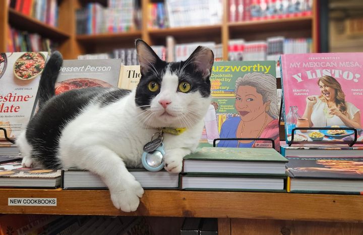 'It's been crazy': Map of Richmond's shop cats a smash hit as initial printing goes fast