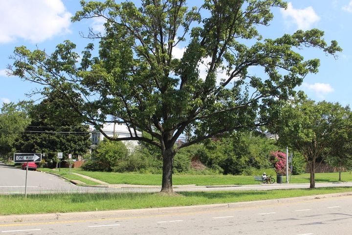 Affordable housing performance grant: 1903 Semmes