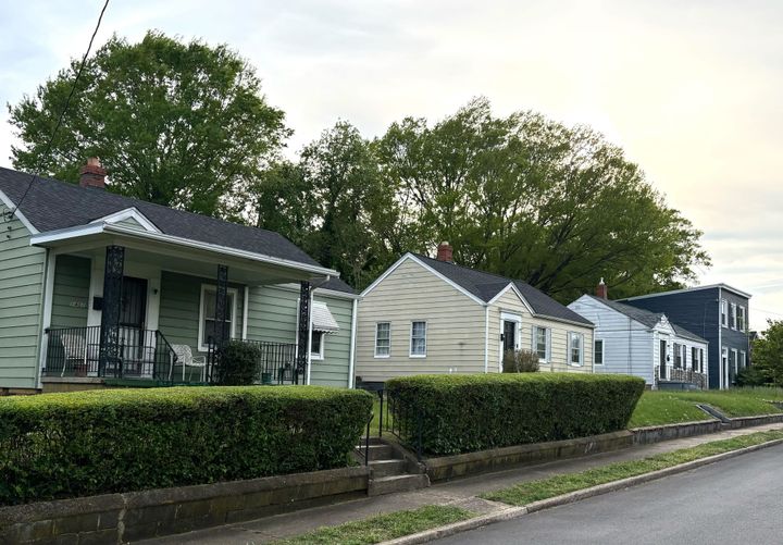 Richmond’s rezoning allows more development. Should it also require more trees?