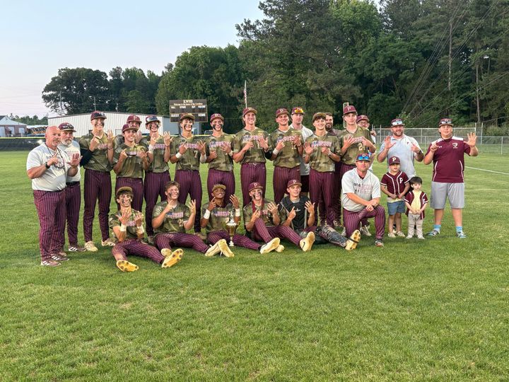 King William falls to Poquoson in region baseball final