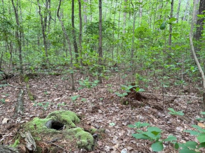 Southside land gifted for future public park