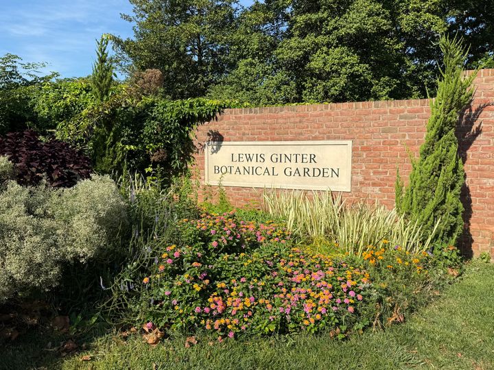 Judge restricts picketing at Lewis Ginter, but stops short of banning it