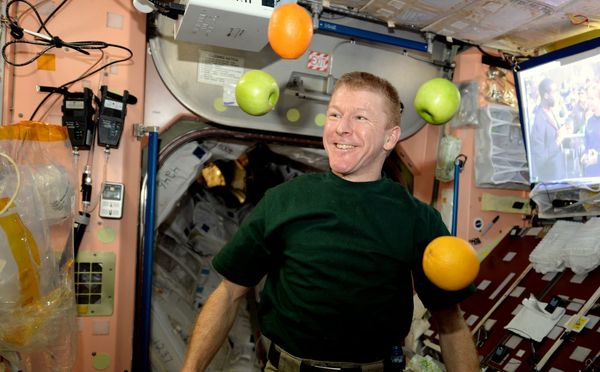 The Most Relatable Astronaut