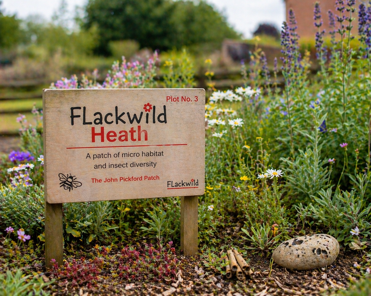 FlackWild Heath