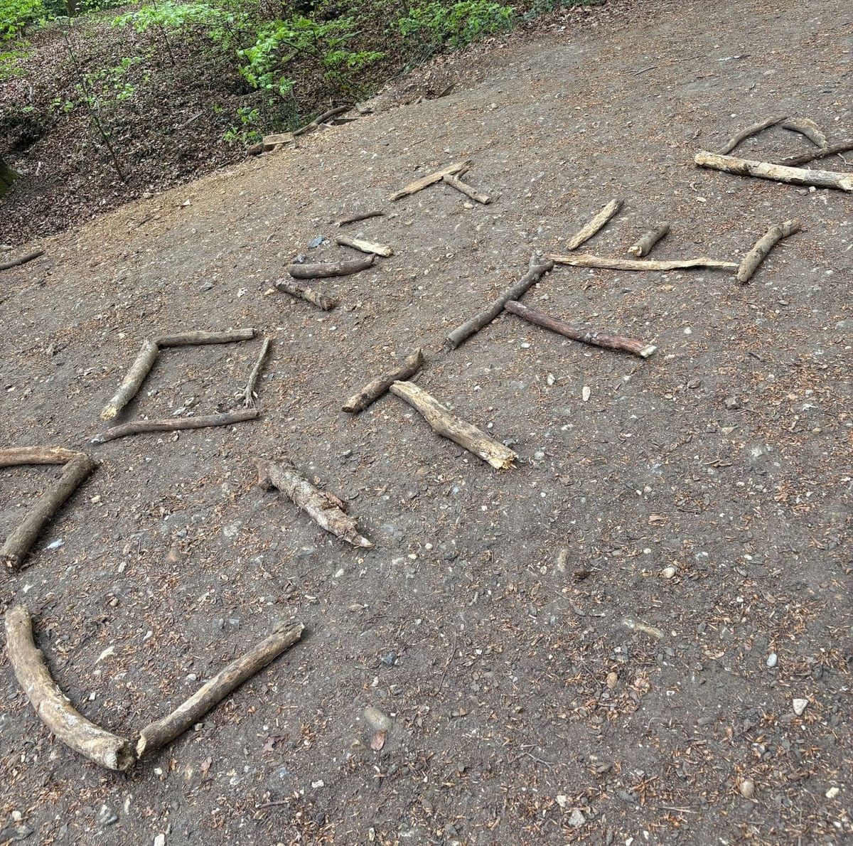 Fennels Wood- littering issues
