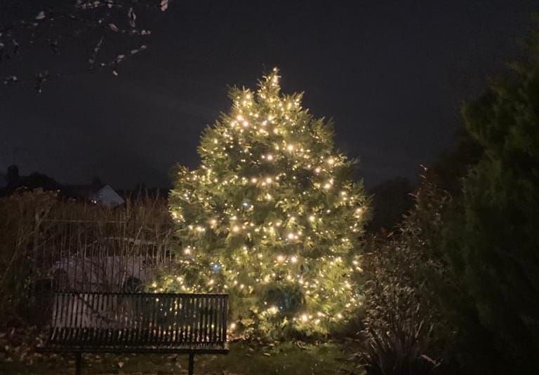 Christmas Lights