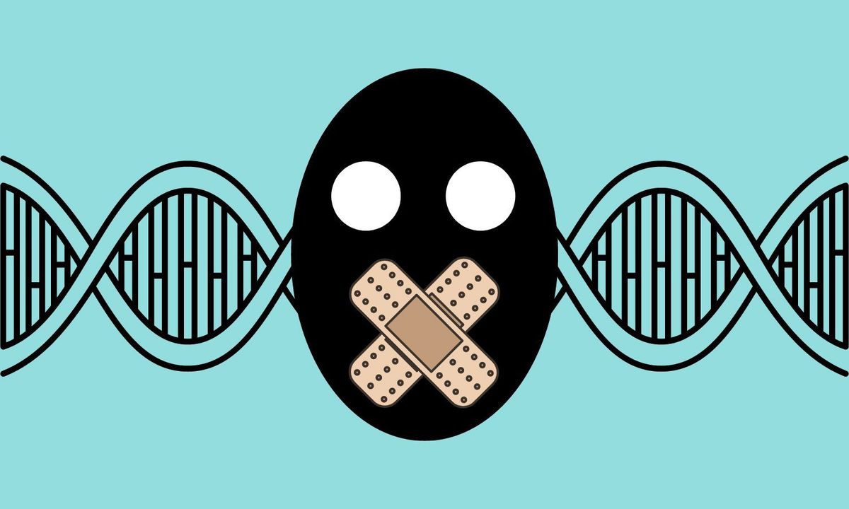 Internet Meme là gì? Cách kích hoạt một chất liệu thành meme