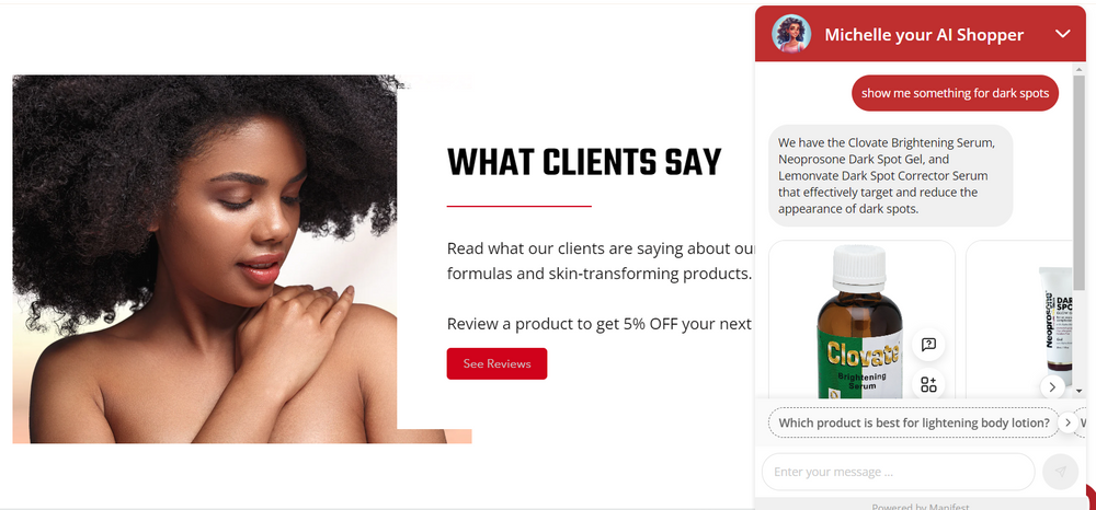 shopify minimal theme