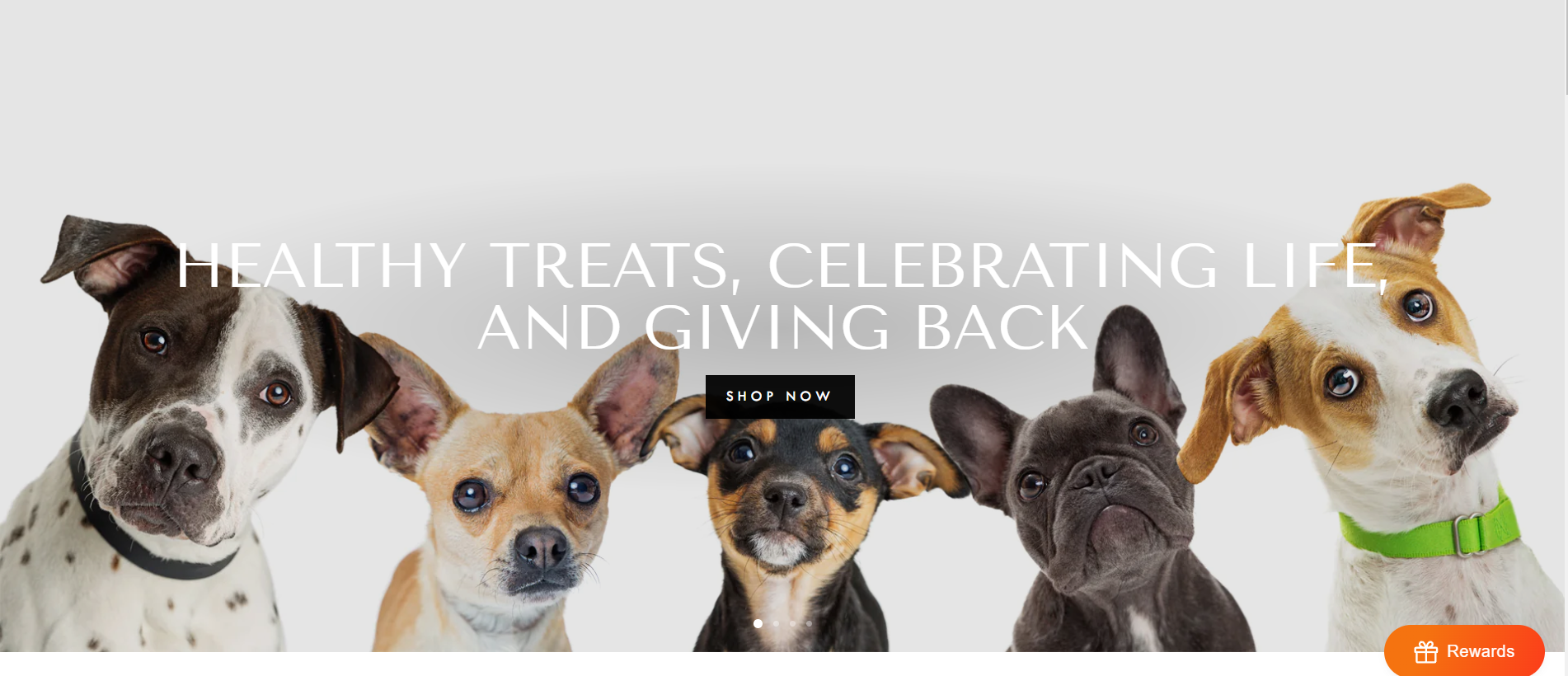 shopify stores using impulse theme