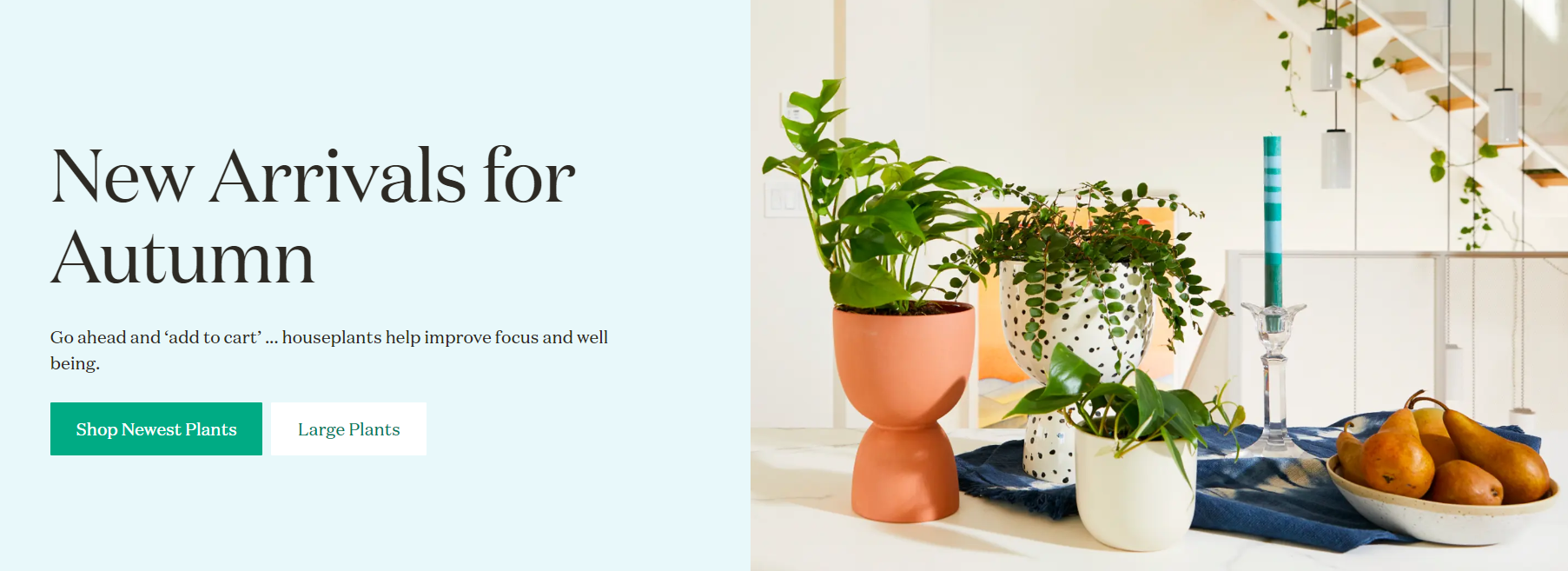 example of streamline pro theme