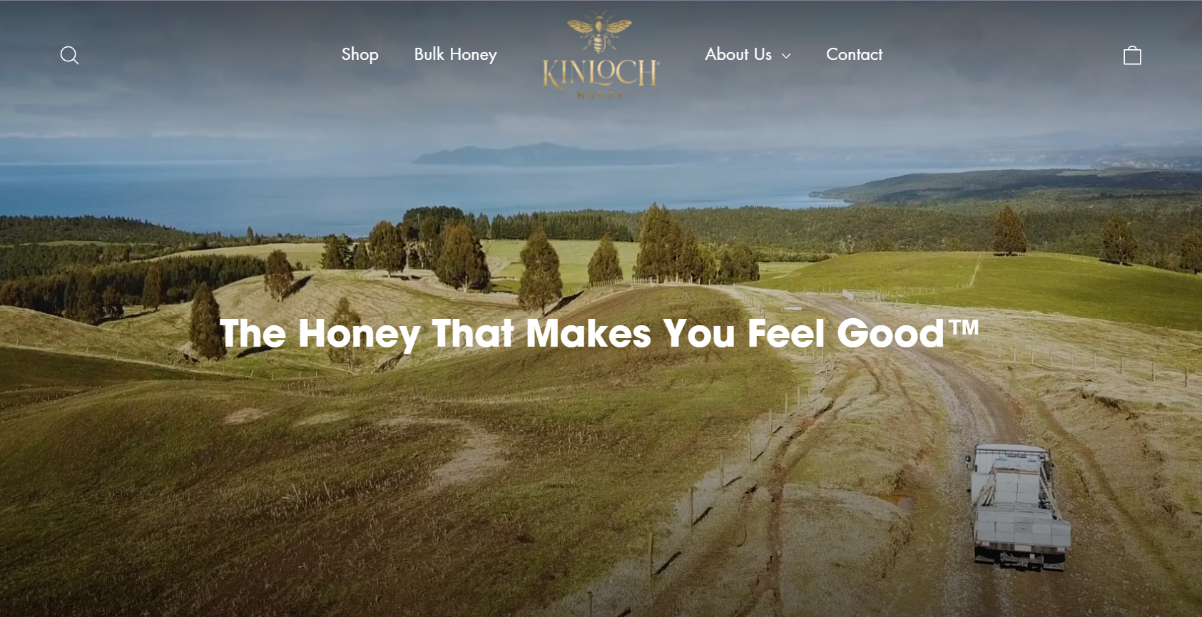 shopify motion theme