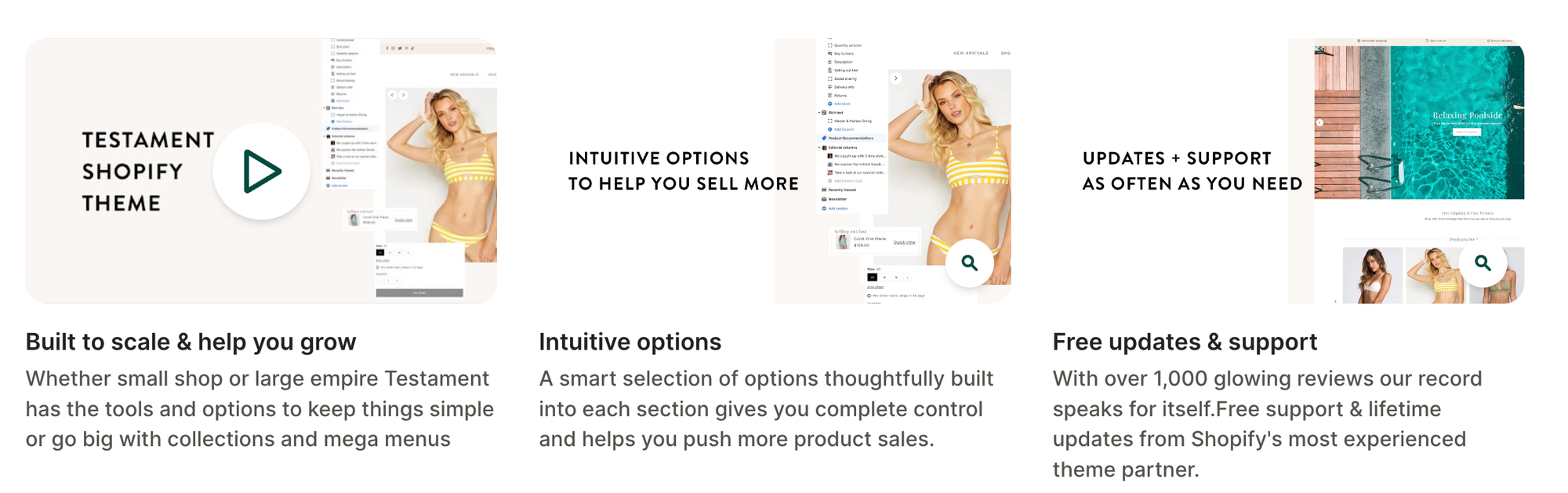 shopify testament theme