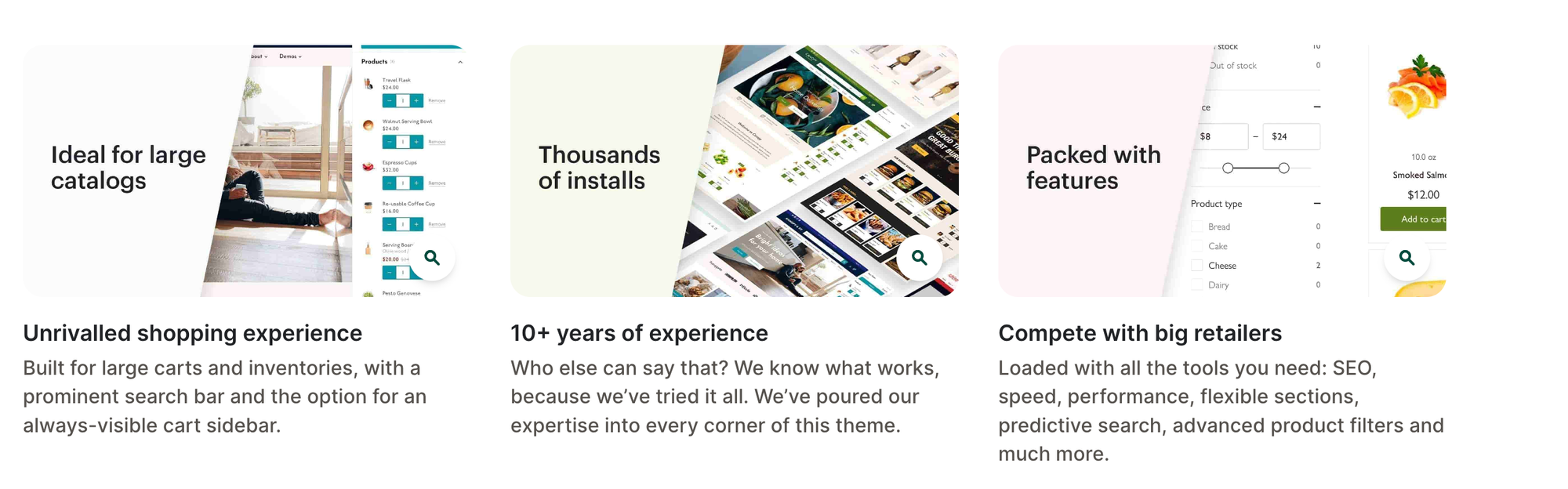 Canopy Theme Shopify Features