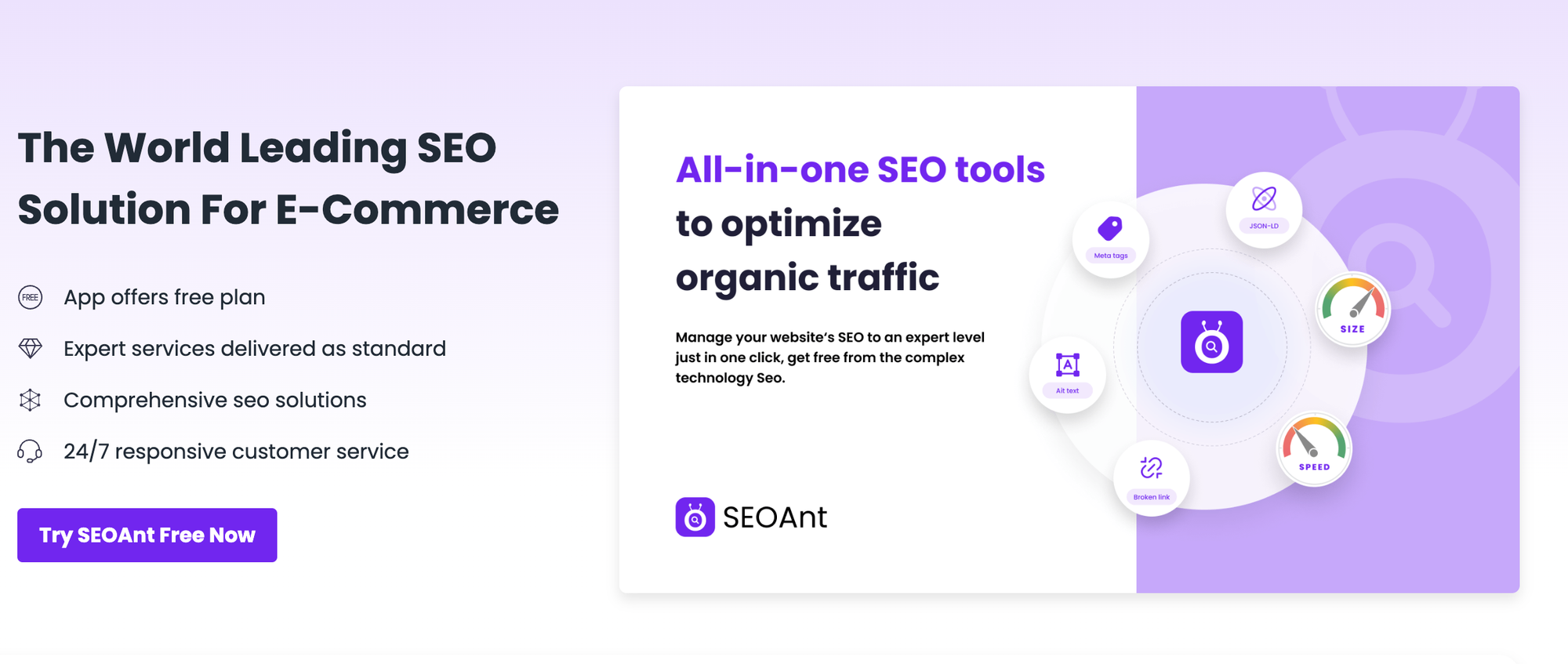 seo for shopify websites