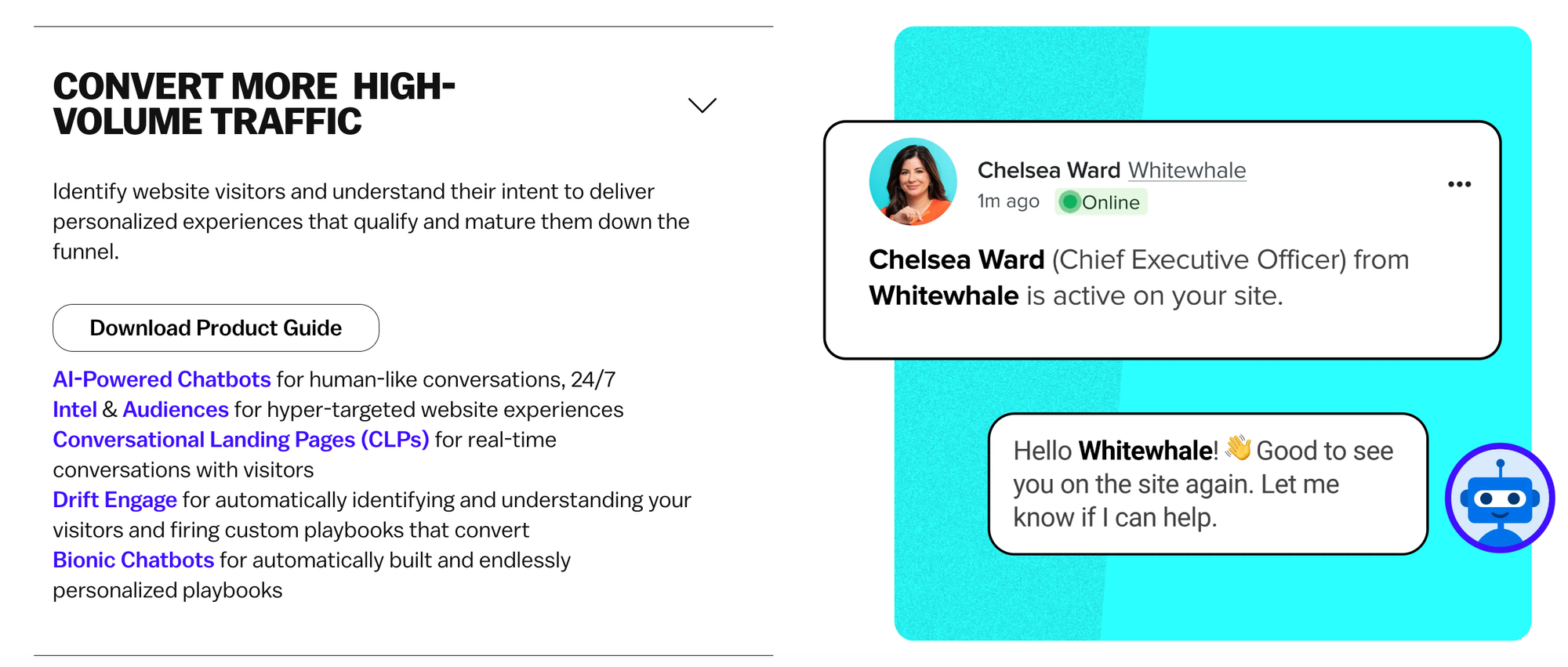 retail chatbot examples