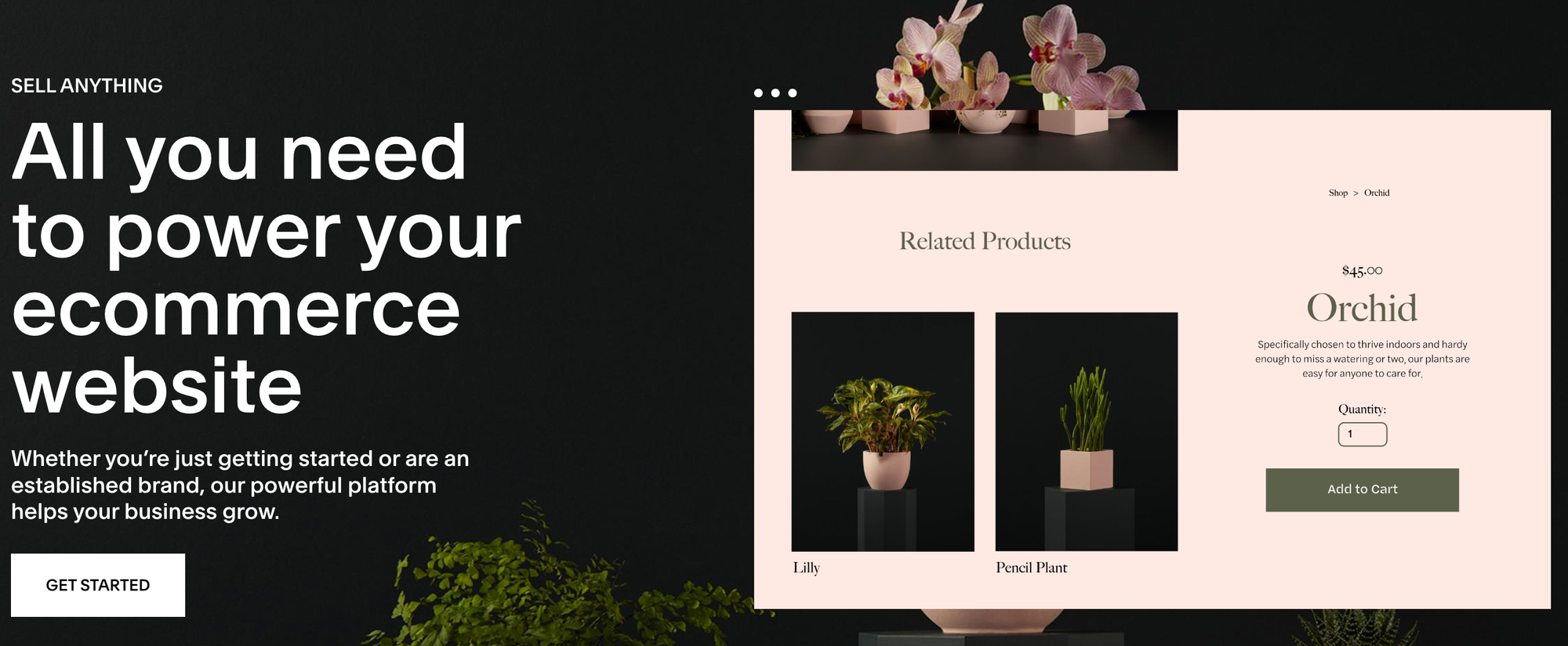best woocommerce alternatives