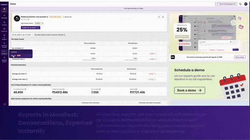Reports in Manifest AI