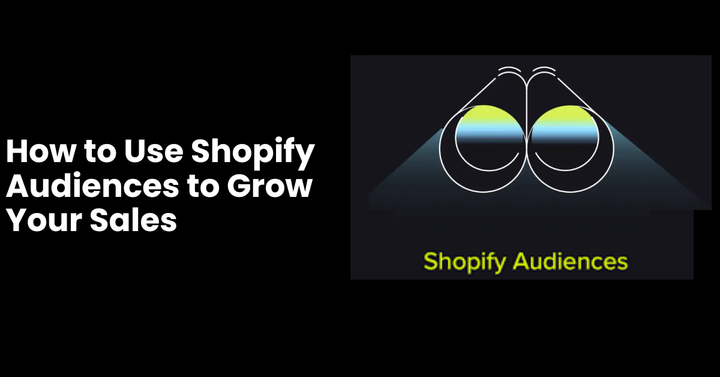 Shopify Audiences