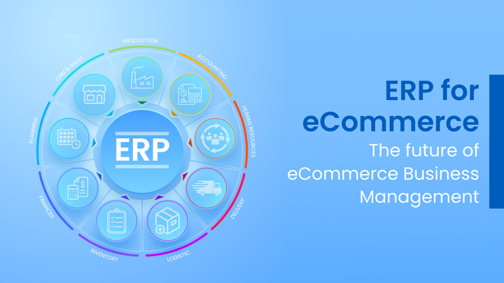 erp ecommerce