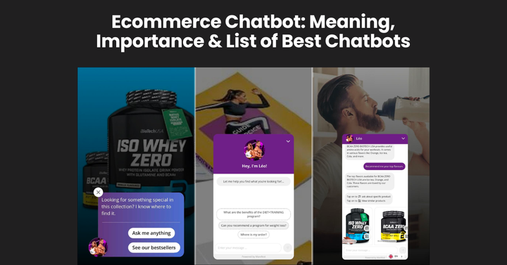ecommerce chatbot