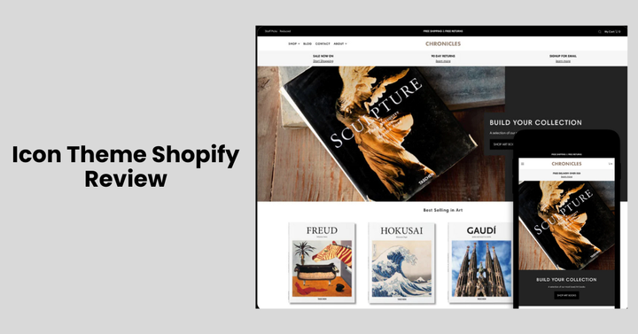 Icon Theme Shopify Review