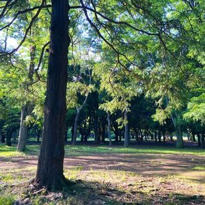 #285 がんばっている活動をアクセシブルにしてほしい（桝田草一さん）