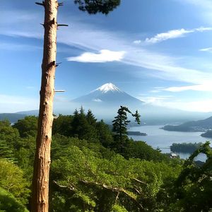 #352 技術が分かっていないと良いデザインは作れない（Hisako Shirasakiさん）