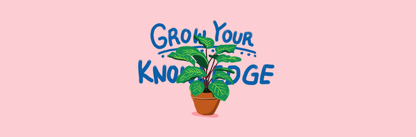 ブログを書いている私がブログを書かなくて良いと皆に伝えたい理由