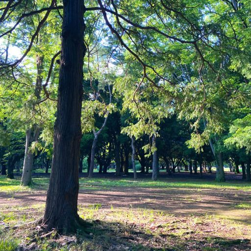 #285 がんばっている活動をアクセシブルにしてほしい（桝田草一さん）